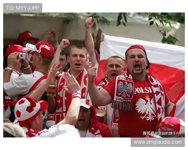 欧洲杯球迷冲突事件引发安全关注