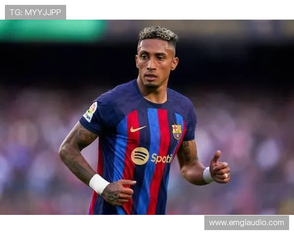 拉菲尼亚与萨卡：核心地位与体系角色对比分析