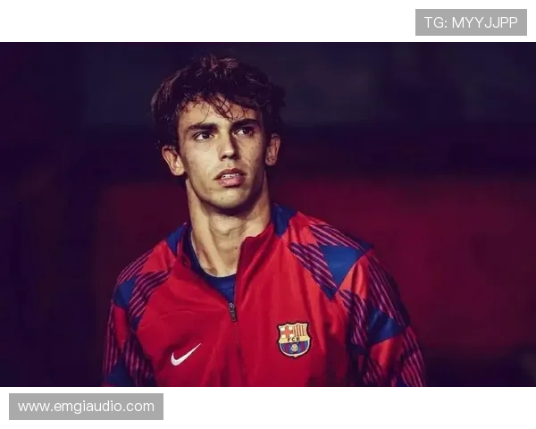 从本菲卡天才到亿元先生:菲利克斯的崛起之路 从本菲卡天才到亿元先生:菲利克斯的崛起之路