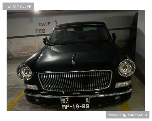 梁伟铿连夜换豪车，那车牌都得翻好几遍才记住！